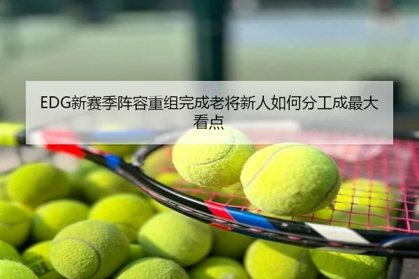 EDG新赛季阵容重组完成老将新人如何分工成最大看点